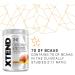 XTEND Original BCAA Powder Mango Madness - 30 Servings | BCAAs + Electrolytes for Recovery | Amino Energy and Muscle Supplements - Buy Online on GoSupps.com