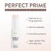 Mented Cosmetics Primer - Mattifying & Hydrating Face Makeup Base - Buy Online on GoSupps.com