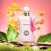Hybrid & Company Delilah Compelling Captivating Fragrance For Women Floral Scent Womens Perfume 3.4 Fl Oz DELILAH 3.4 Fl Oz (Pack of 1) - Buy Online on GoSupps.com