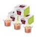 HOT Flowers Kissable Massage Candle Wax Play - Candy Candle with Low Heat Temp Skin Safe Moisturize Set of Three 1.4 oz Each (Chocolate-Mint)