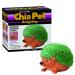 Chia Pet Planter- Hedgehog