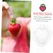 Gogogmee 5pcs Fruit Shaping Mold Plastic Fruit Cucumber Shaping Tool Vegetable Shaping Tool Garden Tools - Buy Online on GoSupps.com