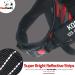 Pawpawify Personalized Dog Harness - No Pull Durable & Comfortable XL (Chest 32-44in) - Red Camouflage - Ideal for Training & Walking - Buy Online on GoSupps.com