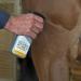 Absorbine Silver Honey Rapid Wound Repair Spray Gel - 8oz Bottle | Manuka Honey & MicroSilver BG | Veterinarian Tested Horse & Animal Care - Buy Online on GoSupps.com