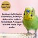 Avigold Advance All-in-One Liquid Bird Tonic - 250ml | Multivitamin with Essential Oils, Electrolytes, Minerals & Amino Acids | For Cage and Aviary Birds - Buy Online on GoSupps.com