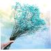 2pcs Plant Decor Gifts Dried Flowers The Gift Dried Flower Decor Creative Preserved Flower Preserved Flower Decor Romantic Preserved Flower Artificial Gypsophila Bluex2pcs 60X20cmx2pcs - Buy Online on GoSupps.com