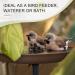 Buy EfuturTime Metal Bird Bath & Feeder - Height-Adjustable Winter-Proof 30x90 cm Garden Accessory for Birds - Large Brown Design - Buy Online on GoSupps.com
