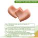 Silicone Transparent Heel Protectors 2 Pairs for Men & Women | Foot Pain Relief & Shoe Protection | Ideal for Dry Damaged Feet - Buy Online on GoSupps.com