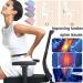 2-in-1 Neck and Back Extensor | Orthopedic Neck Stretcher & Lumbar Support Pillow for Pain Relief (Gray) - Shop Internationally - Buy Online on GoSupps.com