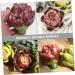 Ciieeo fake vegetables imitated artichoke decors decorate vegetable artichoke props fake accessories wedding artichoke decors artificial vegetable Model shop display artichoke - Buy Online on GoSupps.com