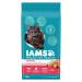 IAMS Proactive Health Dry Cat Food Adult - Indoor Weight & Hairball Care with Salmon 1.59kg Bag 1.59 kg (Pack of 1) Cat Food