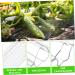4pcs Planting Chocolate Shaped Heart Vegetable Shaping Candy Vegetables Cucumber Star Mold X Growth - Buy Online on GoSupps.com