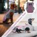 Buy Kuoser Cooling Vest for Dogs | Breathable & Reflective Safety Coat for Summer | Perfect for Small & Medium Dogs - Training Pink - Buy Online on GoSupps.com