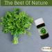 Buy Shana Parsley Oil - Pure & Natural Cold Pressed (30ml) | Kosher & Halal | Perfect for Cooking & Body Care - International Shipping Available - Buy Online on GoSupps.com