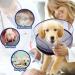 2-in-1 Inflatable Dog Collar | Recovery & Protective Collar for Dogs - Small Size - Buy Online on GoSupps.com