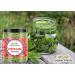 Green Velly Organic Infinity Stevia Leaf Powder - 500 GM by Organic Infinity - Buy Online on GoSupps.com
