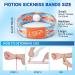 LYJEE Sea Sickness Wristbands - Motion Sickness Relief for Adults Kids & Pregnant Women | Acupressure Anti-Nausea Bands for Cruise Essentials - Buy Online on GoSupps.com