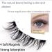 Lumentes Magnetic Eyelashes Magnetic Eyelashes Natural Look Eyelashes Magnetic Lashes Reusable Magnetic Eyelashes Magnetic False Eyelashes no Glue Natural Look (# 6) - Buy Online on GoSupps.com
