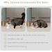 Extra Wide Raised Cat Bowls - Anti-Vomiting & Stress-Free Feeding Solution | Set of 2 Ceramic Bowls in White - Buy Online on GoSupps.com