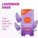 Lume Whole Body Deodorant - Smooth Solid Stick - 72 Hour Odor Control - Aluminum Free Baking Soda Free and Skin Loving - 2.6 Ounce (Pack of 3) (Lavender Sage) Lavendar Sage 2.6 Ounce (Pack of 3) - Buy Online on GoSupps.com