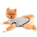Paidful British Dog Shirt - Striped Soft Cotton T-Shirt for Small Dogs | Breathable Summer Vest for Puppies & Chihuahuas (L: 30cm) - Buy Online on GoSupps.com