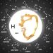 Subeline Constellation Ring - Adjustable Horoscope Jewelry | Perfect Birthday Gift for Women & Teen Girls - Buy Online on GoSupps.com