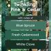 Glade Scented Candle Twinkling Pine & Cedar 1-Wick Candle Air Freshener Infused with Essential Oils for Home Fragrance 1 Count (Packaging May Vary) - Buy Online on GoSupps.com