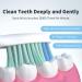 CD-05 Electric Toothbrush for Adults - Rechargeable Sonic Toothbrush with 4 Modes Pressure Sensor & Smart Timer - Long-lasting 80 Days Charge - Pink & Purple - Buy Online on GoSupps.com