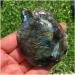 Choice of Gifts 1PCS Natural Labradorite Quartz Crystal Tortoise Skull Hand Carved Vibration Stone JZIGTDEM - Buy Online on GoSupps.com