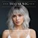 Testar Short Bob Wig with Air Bangs - Gray Synthetic Cosplay Wig for Women | Daily Wear Colorful Styles - Buy Online on GoSupps.com