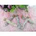 Bath Salts Gift Set with 5 Different and Fascinating Fragrance-Rose Lavender Jasmin Gomphrena globosa Osmanthus 5x100g - Buy Online on GoSupps.com