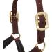 LeMieux Anatomic Headcollar for Horses - Padded Leather & Metal Fittings - Adjustable Full Brown - Buy Online on GoSupps.com