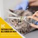 Dream REACH 8 Ergonomic Dog Fur Scissors - 440C Stainless Steel & Adjustable Screw - Professional Pet Grooming Tool for Dogs & Cats - Buy Online on GoSupps.com
