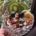 Granola Bio Coco et Citron - 1 5 kg - Saveur de l'ann e 2019 - Cuit l'Huile d'Olive Vierge Extra de la Noix de Coco et du Citron - Ingr dients Naturels - Production 100% Artisanale - La Newyorkina - Buy Online on GoSupps.com