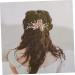 Beaupretty Hair Comb Birthday Headpiece Flower Clips Rhinestone Tiara Headband Wedding Hair Accessories Princess Headband Floral Hair Headpiece Hair Barrettes Headgear Miss Rhinestones Alloy - Buy Online on GoSupps.com
