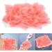 PATKAW Bath Shower Pouf Sponge Adorable Mesh Pouf Shower Ball Exfoliating Body Sponge Pad Shower Scrubber Ball Shower Glove Pink - Buy Online on GoSupps.com