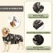 Buy Hipet Recovery Suit for Dogs & Cats - Post-Op Wound Protection Prevent Licking Size L Camouflage - Buy Online on GoSupps.com