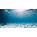 MIRRORANG 61x30cm Durable Vinyl Undersea Ocean Floor Aquarium Background Tropical Tank Background 61x30cm style 4