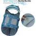 Buy Vivaglory Sports Style Life Jacket for Medium Dogs Adjustable Durable Safe Buoyancy Vest (Cyan M: 56-64 cm) - International Shipping Available - Buy Online on GoSupps.com