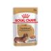 Royal Canin Dachshund Adult Mousse | 12 x 85 g | Complete Food for Dogs | for Adult Dachshunds | May Help Protect Bones and Joints