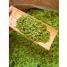 Premium Xihu Longjing Green Tea Leaves 125g - Freshly Picked Before Qingming - Buy Online on GoSupps.com