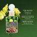 Mo.notheme Patchouly Leaves EDT Perfume for Men - Woody Fragrance with Notes of Patchouli Bergamot & Citrus - Long-lasting Luxury Fragrance - Eau de Toilette Masculine Perfume -100 ml - Buy Online on GoSupps.com