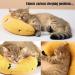 TYXHXTF 2 PCS Cat Toys Pillows for Cat Plush Pillow for Indoor Cats Kitten Chew Toys for Indoor Cats Kitten Teeth Cleaning Playing Soft Cat Hugging Pillow - Buy Online on GoSupps.com