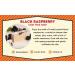 Goat Milk Stuff Black Raspberry Soap - Farm-Fresh Goat Milk, Handmade for Face, Natural Skin Renewal - 2 Count Pack - Buy Online on GoSupps.com