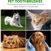 Balacoo Pet Dog Toothbrush- 1 Set Pet Double- Head Toothbrush Cat and Dog Handle Toothbrushes Toothpaste for Dogs Cats and Most Pet - Buy Online on GoSupps.com