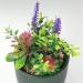Earnest Living Essential Oil Diffuser - Ceramic Succulent Pot 100ml Night Light Timer & Auto-Off Function for Lavender Aromatherapy - Buy Online on GoSupps.com