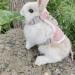 Shop Lumenty Adjustable Leash & Harness for Rabbits - 1.20m Breathable West Design for Small Pets | Ideal for Dwarf Rabbits & Cats - Buy Online on GoSupps.com