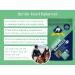 Blue Chip Senior Feed Balancer 3kg - Glucosamine & Rosehip, Pre & Probiotics - Ideal for Older Horses with Cushings - Buy Online on GoSupps.com