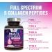 Multi Collagen Pills 2400 mg - Advanced Types I II III V X - Hydrolyzed Multi Collagen Peptides Pills Collagen Supplements for Women & Men - Hair Skin & Nail Support Supplement - 240 Capsules 240 Count (Pack of 1) - Buy Online on GoSupps.com