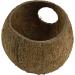 JBL 61512 Cocos Cava Coconut Shell Cave for Aquariums & Terrariums - Natural Hideout for Fish & Reptiles - Buy Online on GoSupps.com